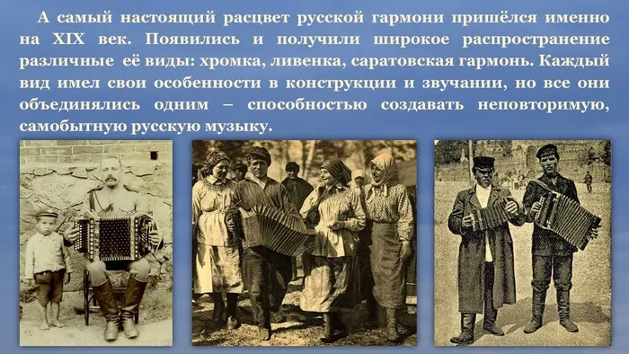 Слайд6