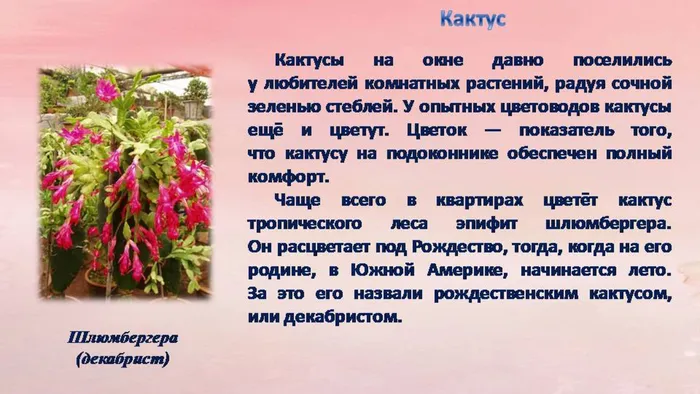 Слайд4.JPG