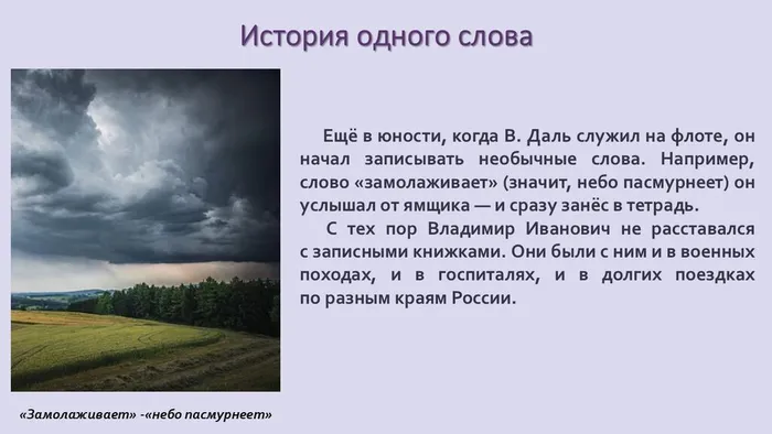 Слайд5