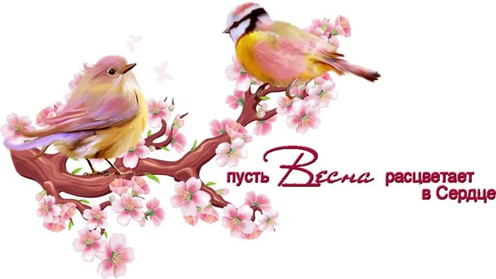 клуб