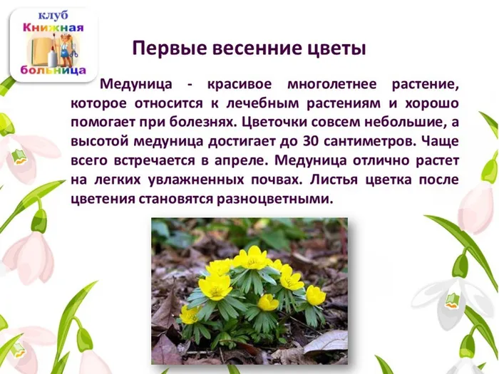 Слайд7