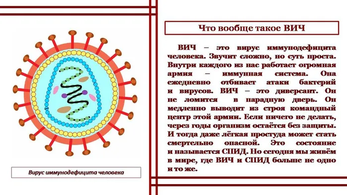 Слайд3