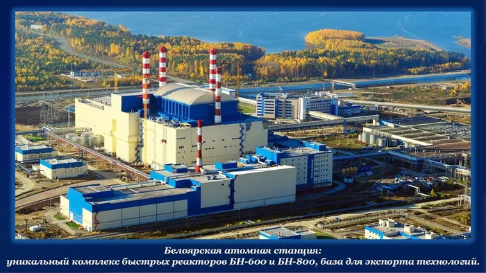 Слайд7