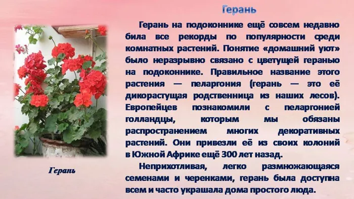 Слайд6.JPG