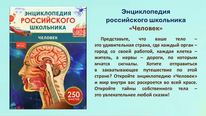 Слайд4