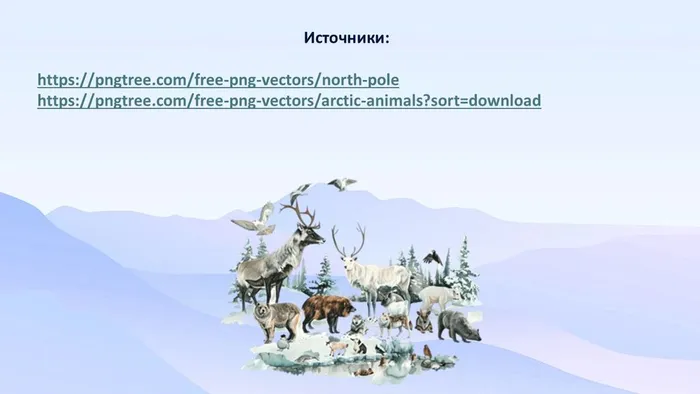 Слайд9