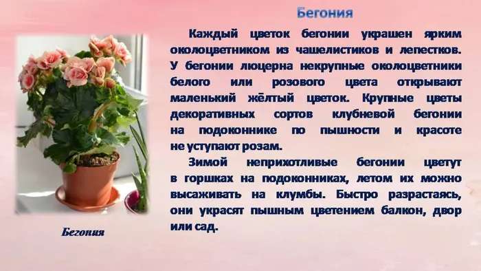 Слайд7.JPG