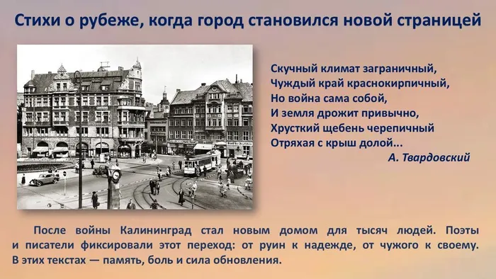 Слайд6