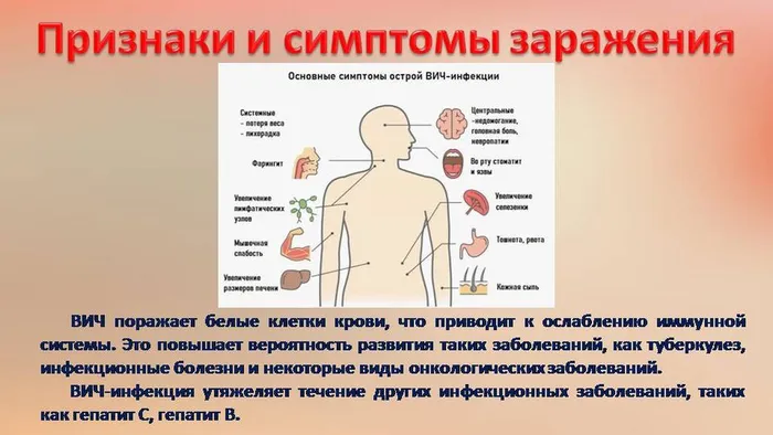 Слайд4