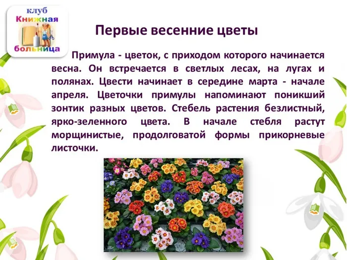 Слайд6