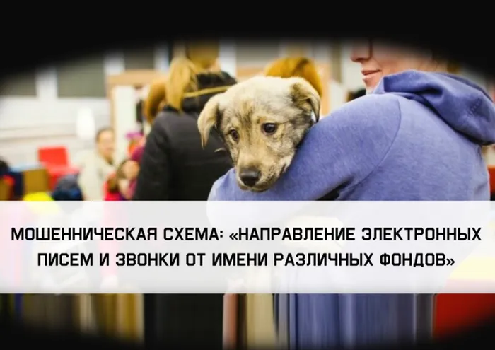 8ef1b78ef551488a260b0753c523292c