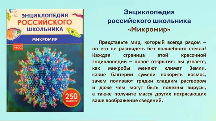Слайд8