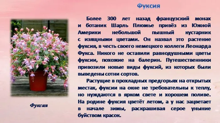 Слайд5.JPG