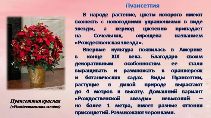 Слайд8.JPG