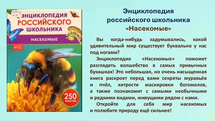 Слайд7