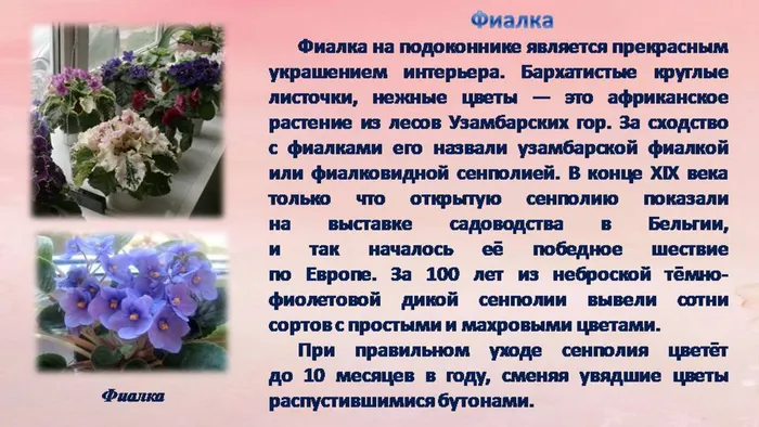 Слайд3.JPG