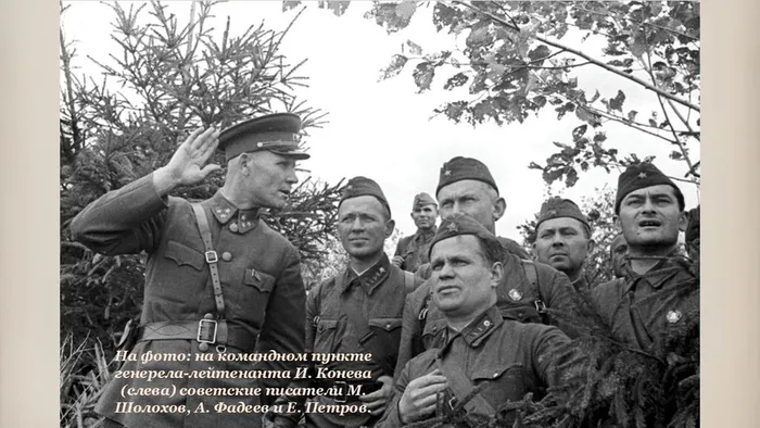 Слайд12