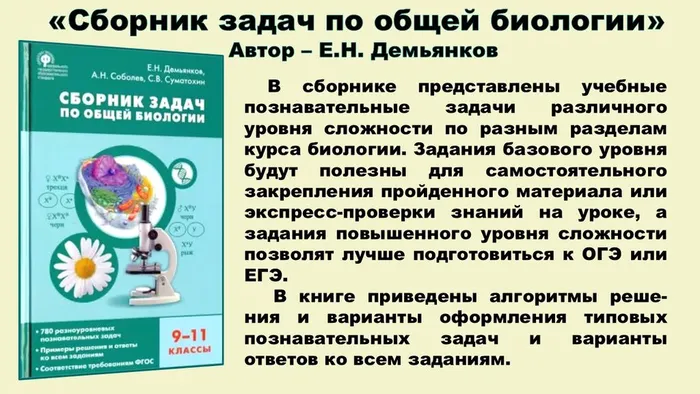 Слайд7